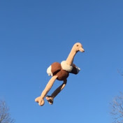 Sherry Castillo - Youtube Profile Picture of Sherry Castillo (@sherrycastillo5263) on Youtube