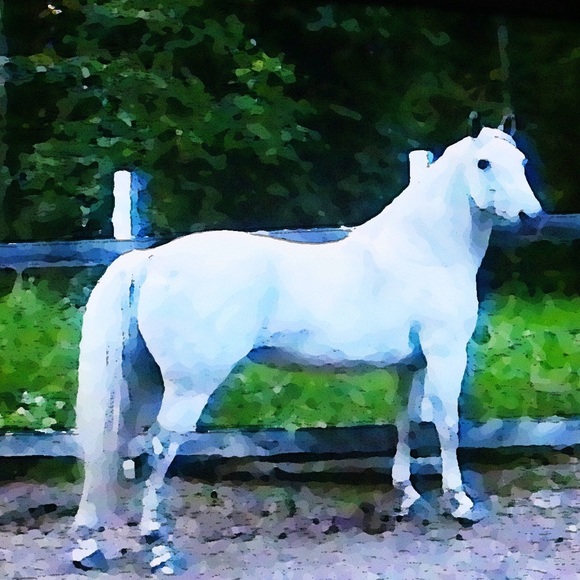Profile Picture of &tanatenhorse J (@tanatenhorse) on Poshmark