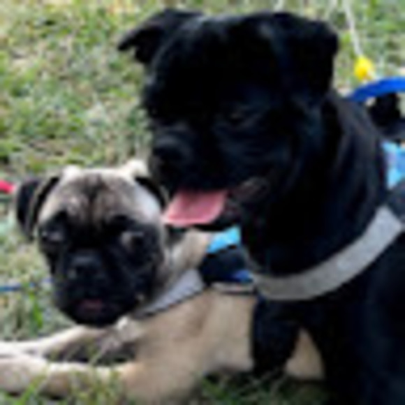 Profile Picture of Angie Holtsclaw (@aholtsclaw2014) on Poshmark