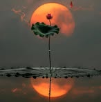 Profile Picture of Hui Zhu (@hui.zhu.148533) on Facebook