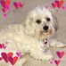 Profile Picture of Roberta Purcell (@roberta.purcell.52) on Facebook