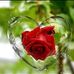 Profile Picture of Nasim Mir (@nasim.mir.1048) on Facebook