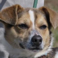 Profile Picture of Julia Laughlin (@itsaavocadothx) on Twitter