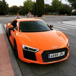 Profile Picture of Guillermo Bello (@guillermo.bello.o) on Instagram