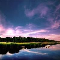 Profile Picture of Marty Rockafellow (@pjsxrpfrk2m) on Tiktok