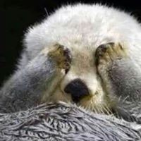 Profile Picture of Yu-ping Lin (@yu-ping-lin-1) on Quora