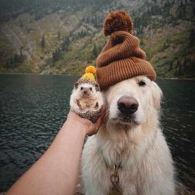 Profile Picture of Angelo Lo Presti (@angelolopresti5) on Twitter