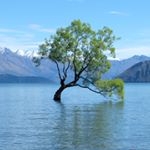 Profile Picture of T. Becker (@yummyigotloveinmytummy) on Instagram