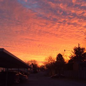 Profile Picture of Lenice Bailey (@nanieb07) on Pinterest