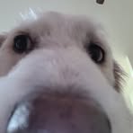 Profile Picture of Joseph Hinshaw (@Joseph-Hinshaw) on Facebook