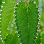 Profile Picture of Yanming Liu (@liuyanming01) on Instagram