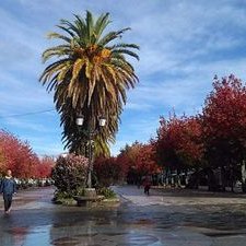 Profile Picture of Miguel Iturralde (@LuisSuarezLope2) on Twitter