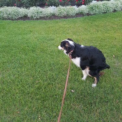 Profile Picture of Matt Lepp (@123mattlepp) on Twitter
