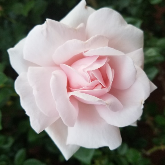 Kathryn Fleischmann - Poshmark Profile Picture of Kathryn Fleischmann (@cupcakefaery) on Poshmark