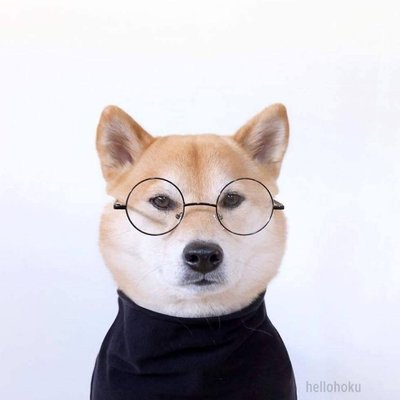Profile Picture of Sone Andy (@Sone_Andy) on Twitter