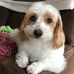 Profile Picture of Steve Kelley (@steve.kelley.14268) on Facebook