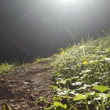 Profile Picture of Derek Nunn (@Nunnforgivable) on Twitter