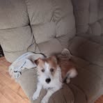 Profile Picture of Clay Hardenbrook (@Clay-Hardenbrook) on Facebook