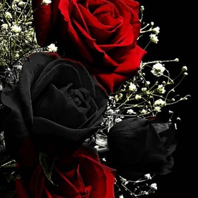 Profile Picture of Andy Mau (@AndyMau9) on Twitter