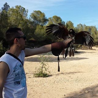 Profile Picture of Alejandro Morlan (@alejandro.morlan) on Facebook
