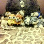 Profile Picture of Ryan Matthew Damel (@giraffes_and_stuff) on Instagram