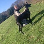 Profile Picture of Brad Holbrook (@brad.170) on Instagram