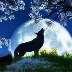 Profile Picture of John Andermanis (@johnandermanis) on Instagram