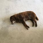 Profile Picture of Tara O'Reilly (@tararoreilly) on Instagram