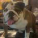 Profile Picture of Sherry PictureLady Booker (@sherry.p.booker) on Facebook