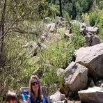 Profile Picture of Dawn McDougle (@Dawn-McDougle) on Facebook