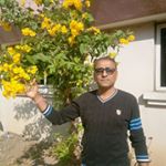 Profile Picture of Vimal kumar Shukla (@vimalshukla333) on Instagram