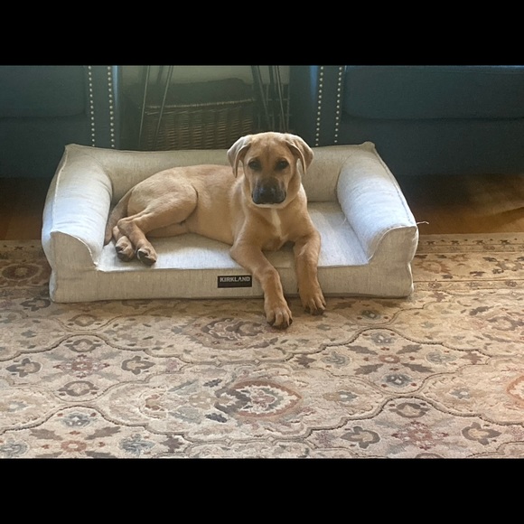 Profile Picture of Meghan Decosta (@meghand653) on Poshmark