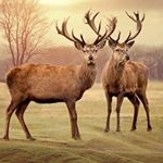 Profile Picture of Abdulhadi Mohamed (@ahm_51414) on Instagram