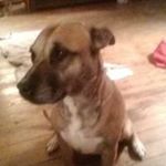 Profile Picture of Kenneth Barrett (@kenneth.barrett.7923) on Instagram