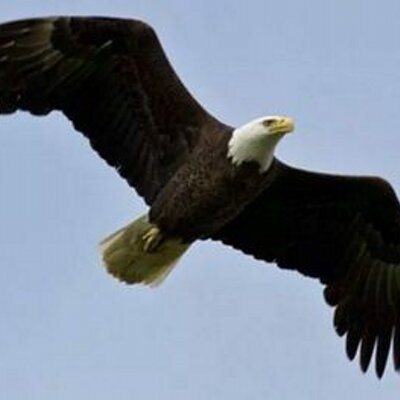 Profile Picture of Ken Cooney (@kjcooney75) on Twitter