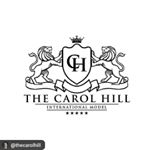 Carol Hill - Instagram Profile Picture of Carol Hill (@thecarolhill) on Instagram