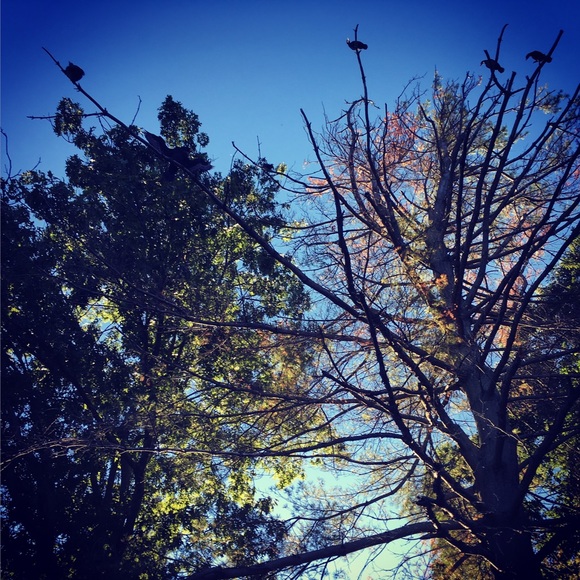 Profile Picture of Cindy Huang (@doilike1) on Poshmark