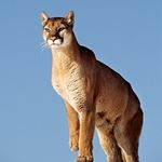 Profile Picture of Richárd Bredák Árpád (@bredakarpad) on Instagram