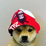 Profile Picture of я НАТАН (@shparberg9833) on Instagram