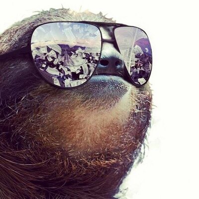 Profile Picture of Brian Quist (@FlutICTer) on Twitter