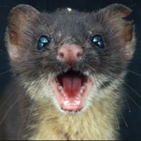 Profile Picture of Michael Guedea (@michael-guedea) on Quora