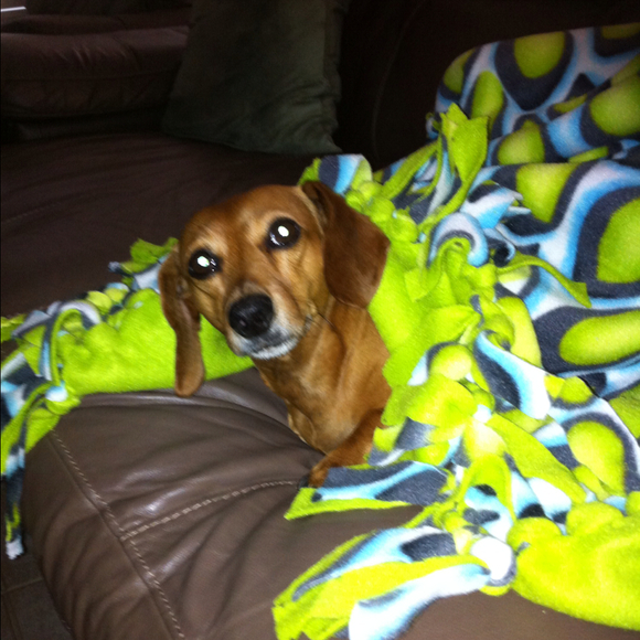 Profile Picture of Laura Tessener (@tessener57) on Poshmark