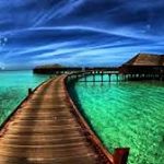 Niroshika gunasegaram - Instagram Profile Picture of Niroshika gunasegaram (@niroshikagunasegaram) on Instagram