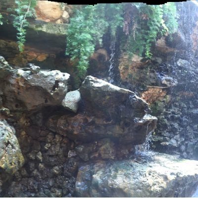 Profile Picture of Alvin Holmes (@al702green) on Twitter