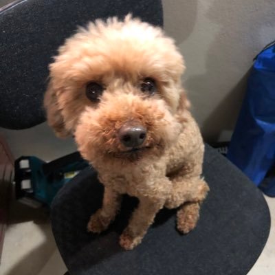 Profile Picture of Edward Qiu (@EdwardQiu10) on Twitter