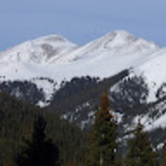 Abovetreeline Abovetreeline - Poshmark Profile Picture of Abovetreeline Abovetreeline (@trappinout) on Poshmark