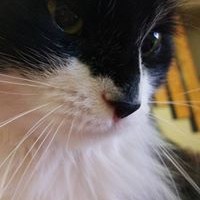 Profile Picture of Kim Chard (@kim-chard-2) on Quora