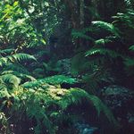 Profile Picture of Kay☀️ (@kay_holt) on Instagram