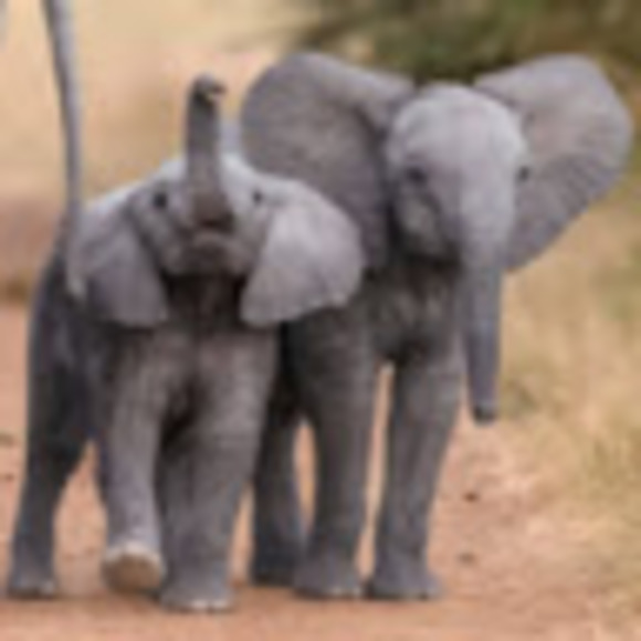 Josie Franklin - Poshmark Profile Picture of Josie Franklin (@josiefranklin76) on Poshmark