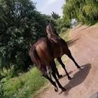 Profile Picture of   Gaby Velazquez Soto... (@gabyvelazquezsoto) on Tiktok